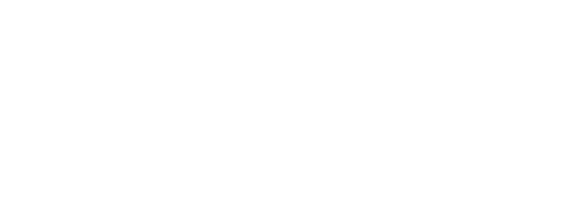 Toro Health